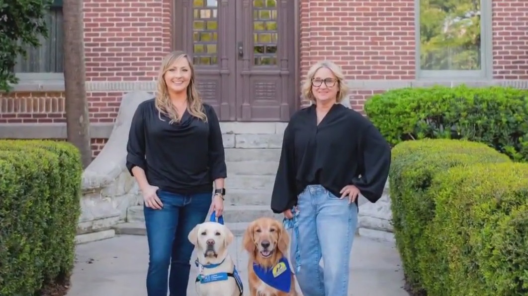 Dogs comforting children who testify in court